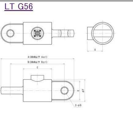 NIKKEIDENSOKU 換器LT G56